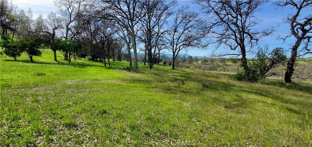 Listing photo 2 for 16220 Rancho Tehama Rd, Corning CA 96021