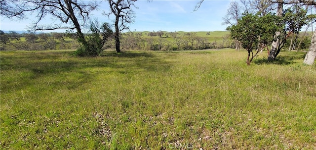 16220 Rancho Tehama Rd, Corning CA, 96021 land for sale