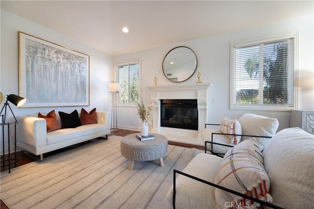 living room featuring wood-type flooring