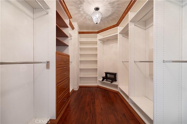 walk in closet featuring dark hardwood / wood-style floors