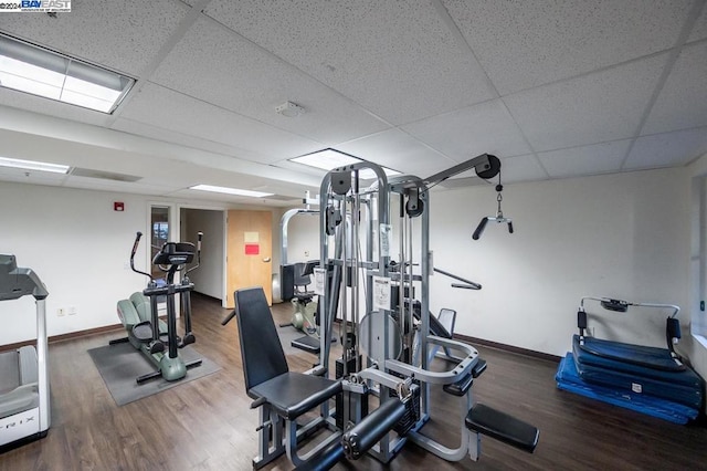 workout area featuring a drop ceiling and dark hardwood / wood-style flooring