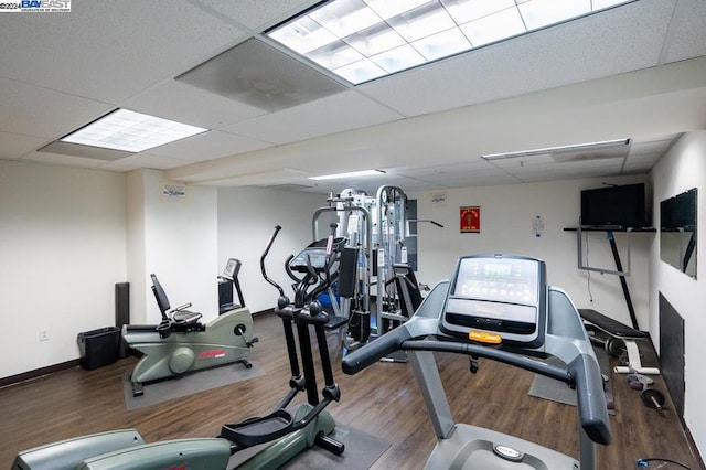 exercise room featuring hardwood / wood-style flooring and a drop ceiling