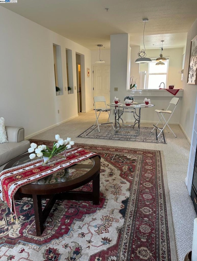 living room with carpet floors