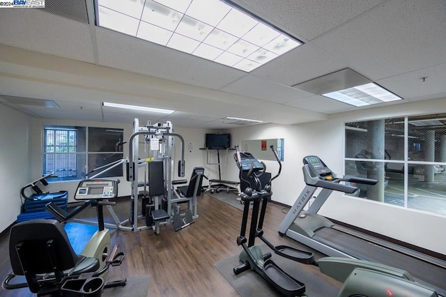 gym featuring a drop ceiling and hardwood / wood-style floors