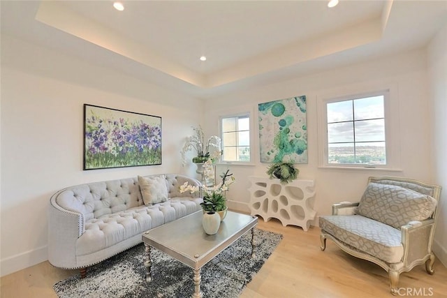 living room featuring a raised ceiling and light hardwood / wood-style flooring