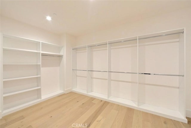 spacious closet featuring wood-type flooring