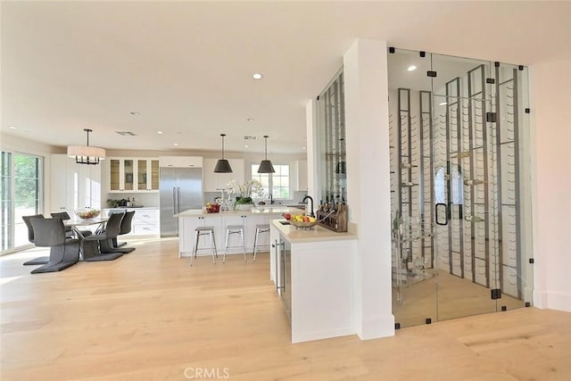 interior space featuring light hardwood / wood-style floors and plenty of natural light