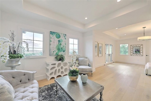 living room featuring a tray ceiling, a healthy amount of sunlight, and light wood-type flooring