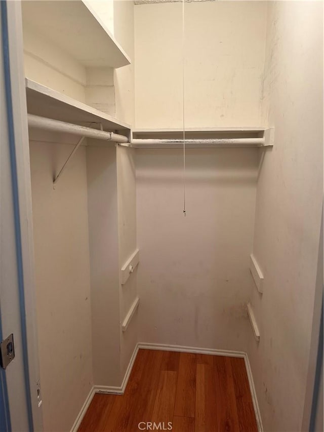 spacious closet featuring dark hardwood / wood-style floors