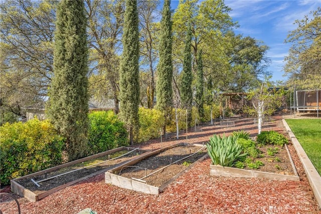 view of yard with a trampoline