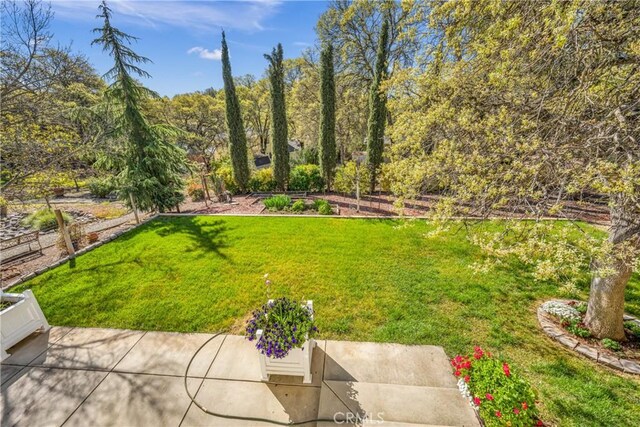 view of yard featuring a patio