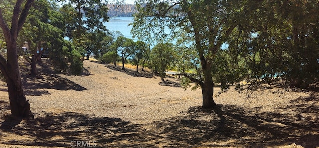 Listing photo 2 for 10981 Pingree Rd, Clearlake Oaks CA 95423