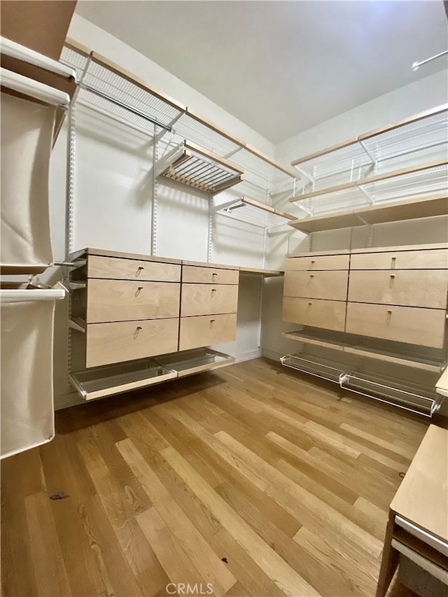 walk in closet featuring wood-type flooring