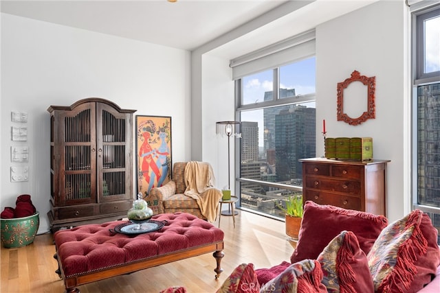 sitting room with light hardwood / wood-style floors