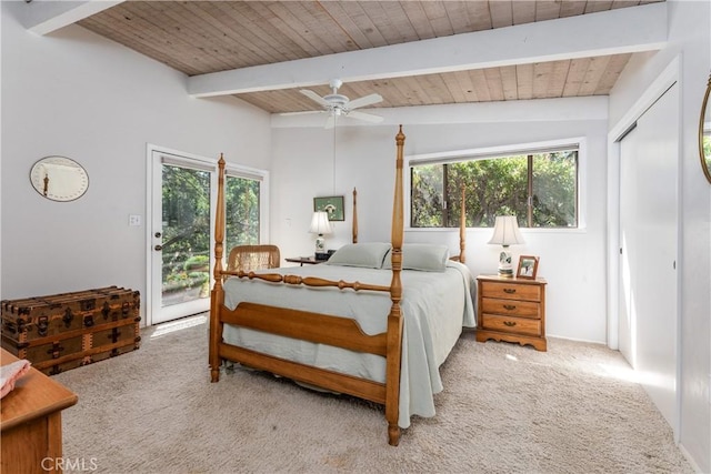 carpeted bedroom featuring access to outside, lofted ceiling with beams, ceiling fan, and multiple windows