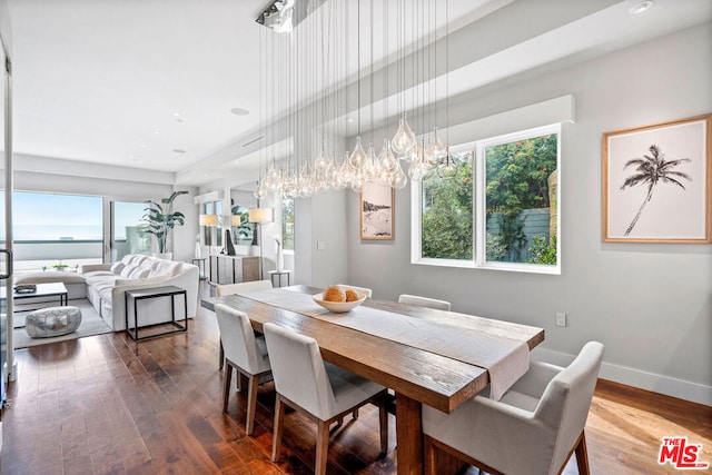 dining area featuring dark hardwood / wood-style flooring