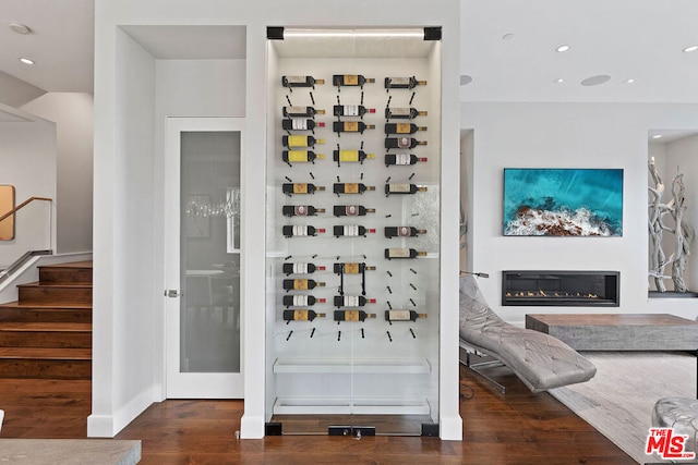 wine cellar with dark hardwood / wood-style floors