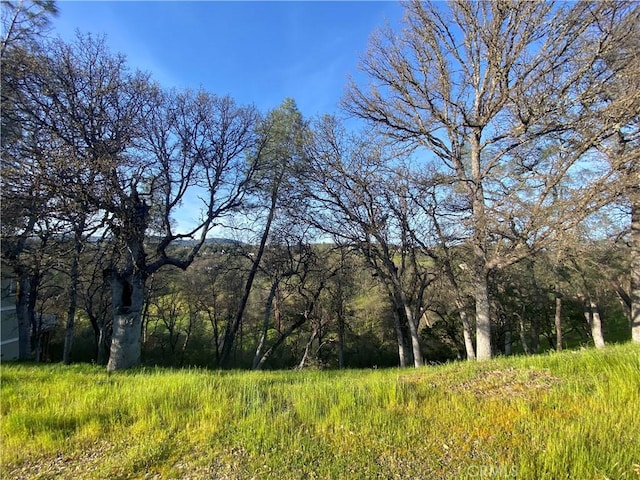 20979 Powder Horn Rd, Hidden Valley Lake CA, 95467 land for sale