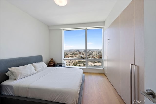 bedroom with light hardwood / wood-style floors