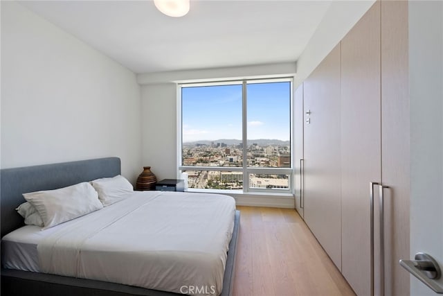 bedroom featuring light wood finished floors