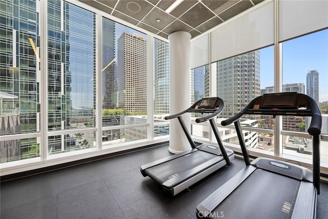 workout area featuring a wall of windows