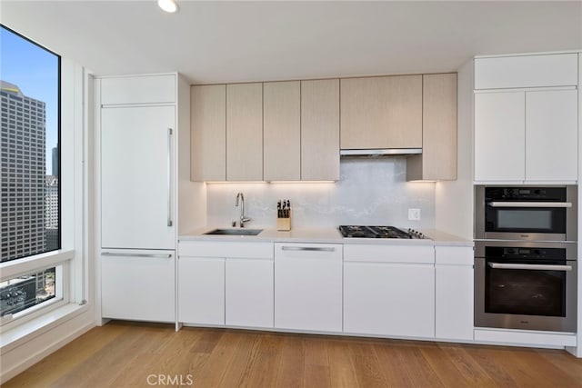 kitchen with sink, appliances with stainless steel finishes, range hood, light hardwood / wood-style floors, and decorative backsplash