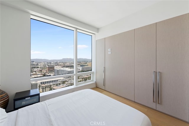 bedroom with light hardwood / wood-style flooring