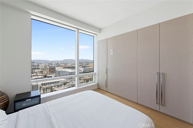 bedroom with light wood-style floors, a view of city, and a mountain view
