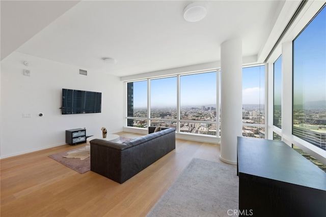 living room featuring expansive windows and light wood-type flooring