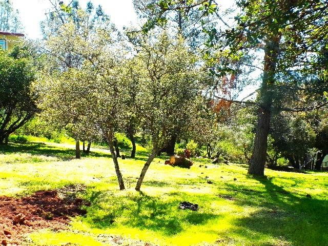 11083 Wheeler, Kelseyville, CA 95451 - photo 3