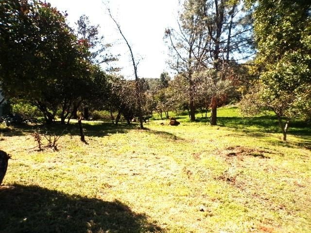 11083 Wheeler, Kelseyville, CA 95451 - photo 6