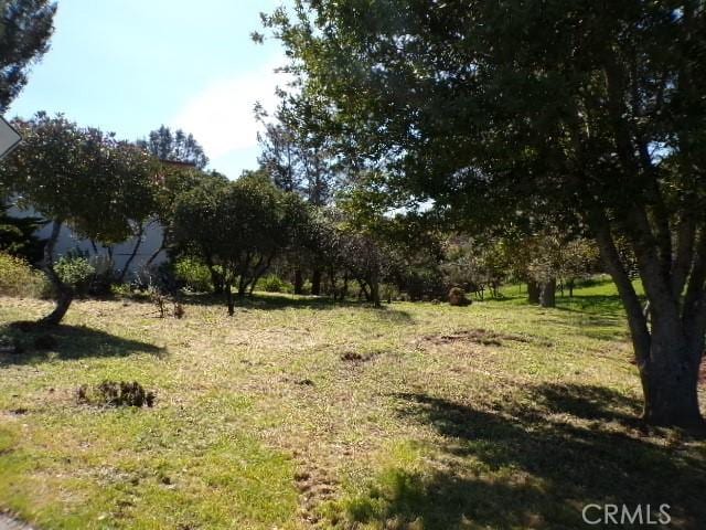 11083 Wheeler, Kelseyville, CA 95451 - photo 4