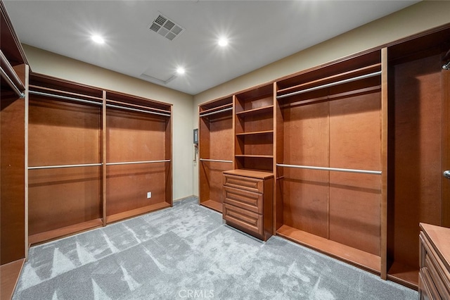 spacious closet featuring light carpet