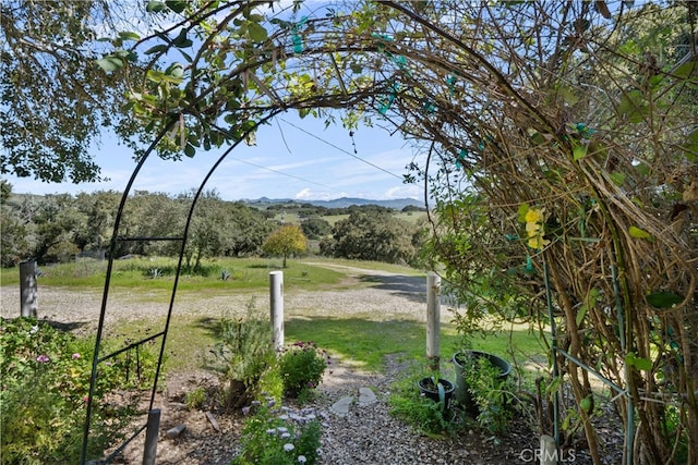 view of yard featuring a mountain view