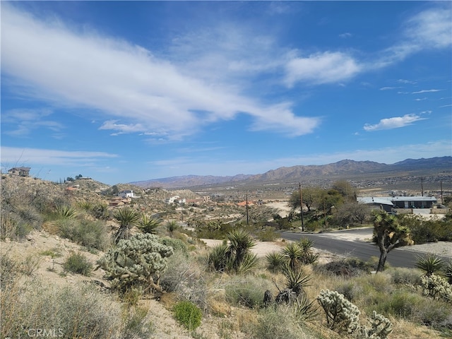 Listing photo 3 for 57154 Buena Suerte Rd, Yucca Valley CA 92284