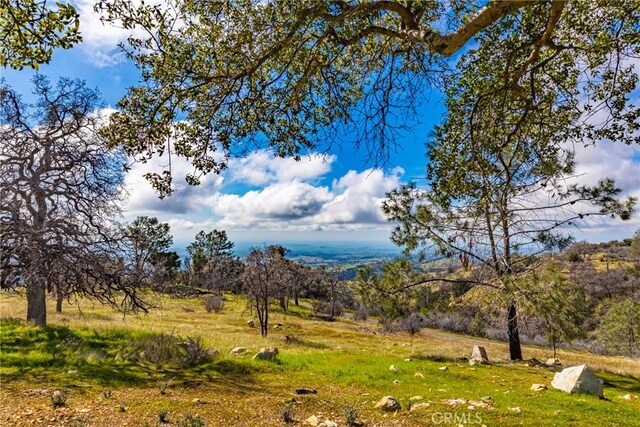 view of local wilderness with a rural view