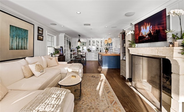 living room featuring ornamental molding, sink, a premium fireplace, and dark hardwood / wood-style flooring