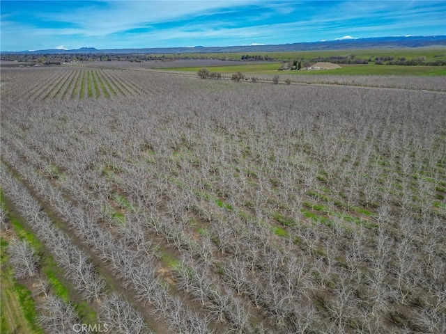 drone / aerial view featuring a rural view