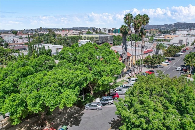 birds eye view of property with a mountain view