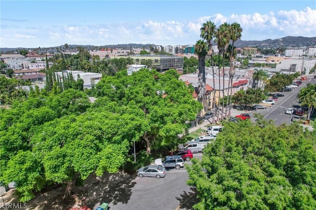 birds eye view of property featuring a mountain view