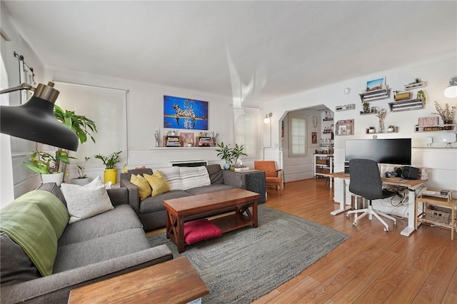 living room with hardwood / wood-style floors