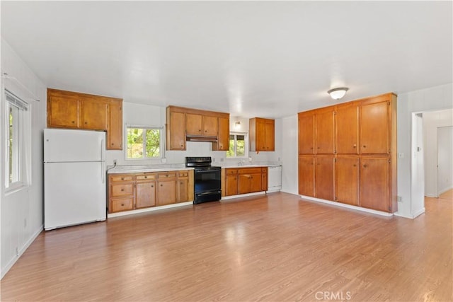 kitchen with light wood-type flooring, white appliances, and sink