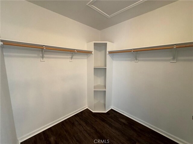 spacious closet with wood-type flooring