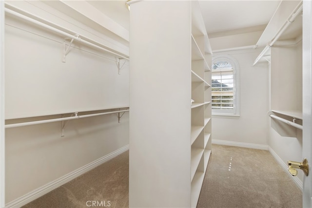 spacious closet with light carpet