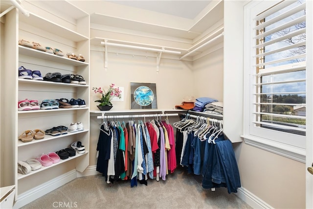 walk in closet with carpet