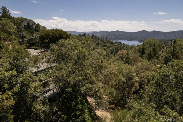 property view of mountains with a water view