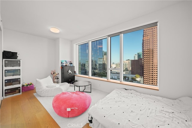 bedroom with wood-type flooring