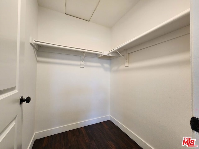 spacious closet featuring dark hardwood / wood-style floors