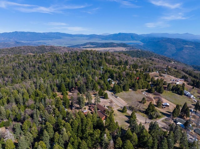 birds eye view of property featuring a mountain view