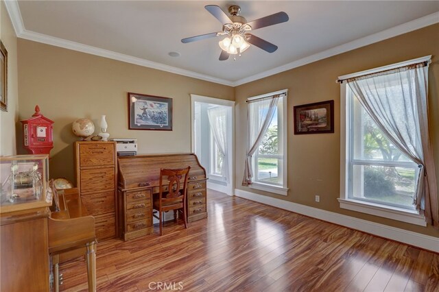 home office with crown molding, ceiling fan, and light wood-type flooring